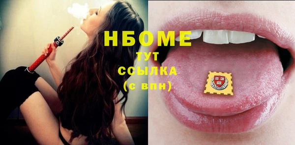 амф Верхний Тагил