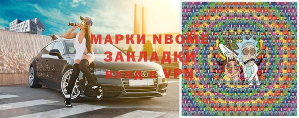 амф Верхний Тагил