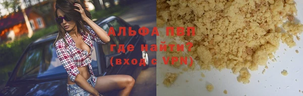амф Верхний Тагил