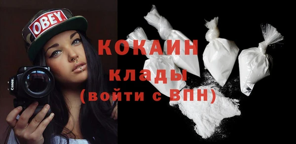 амф Верхний Тагил