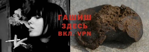 индика Бородино
