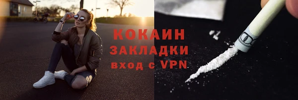 амф Верхний Тагил