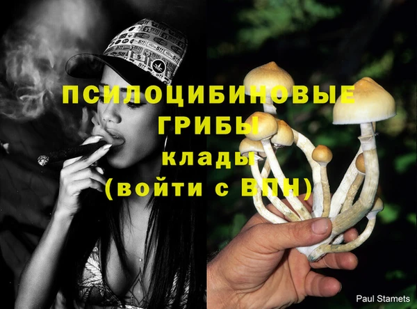мяу мяу кристалл Верея