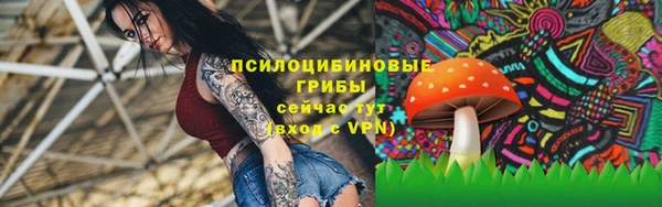 амф Верхний Тагил